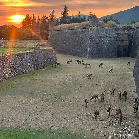 Apartment Casa La Rubia