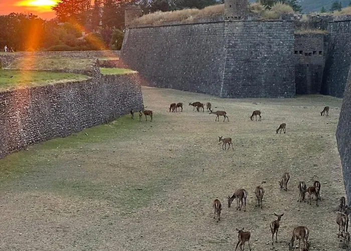 Apartamento Casa La Rubia